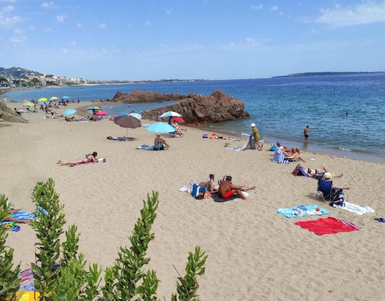 Agreable Chambre D'Hote A 50M De La Mer Κάννες Εξωτερικό φωτογραφία